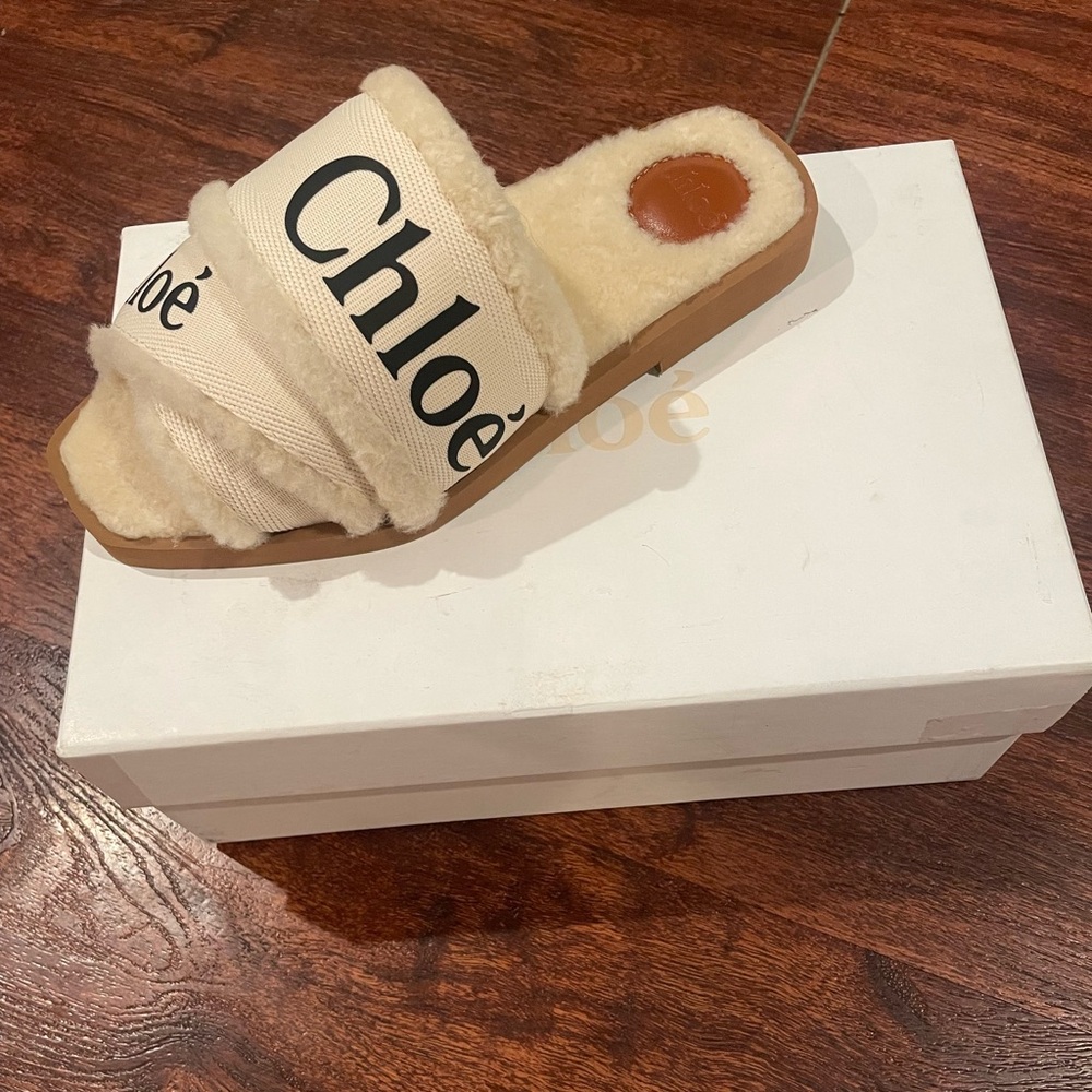 Chloe Woody slides